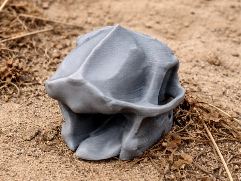 アエジプトピテクスの頭蓋骨 3Dモデル