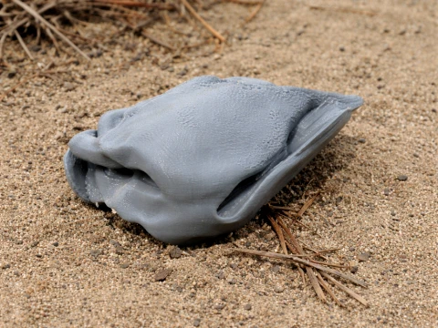 Aepyornis maximus Skull 3D Model
