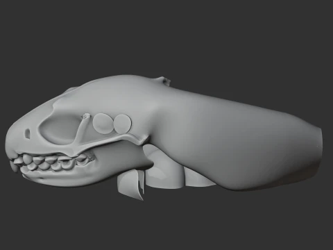 Amur Hedgehog Skull 3D Model