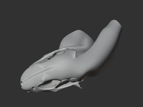 Amur Hedgehog Skull 3D Model