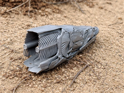 Arapaima gigas Skull 3D Model