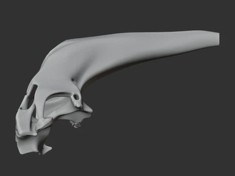 Araripesuchus Skull 3D Model