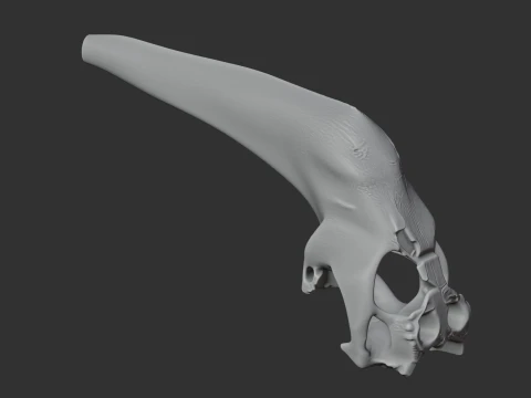 Araripesuchus Skull 3D Model