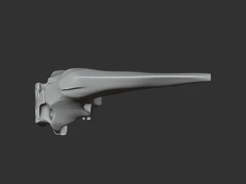 Araripesuchus Skull 3D Model