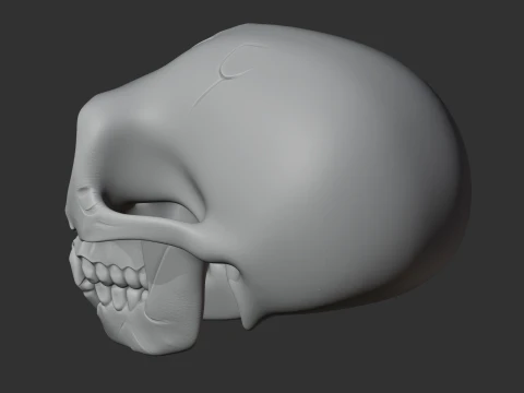 Ardipithecus Skull 3D Model