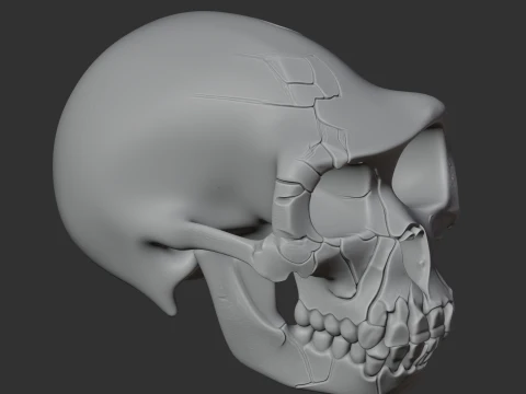 Ardipithecus Skull 3D Model