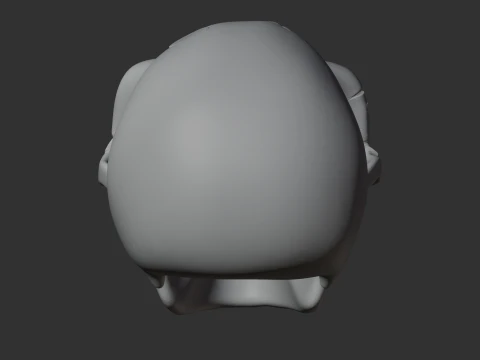 Ardipithecus Skull 3D Model