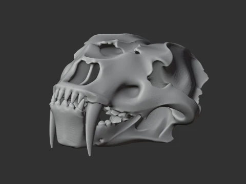 Cr&acirc;nio de Amphimachairodus Modelo 3D