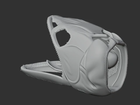 Asian Arowana Skull 3D Model