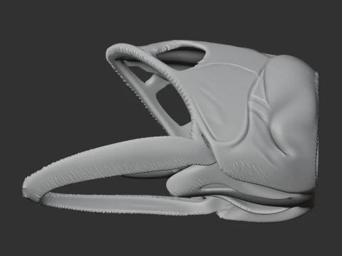 Asian Arowana Skull 3D Model