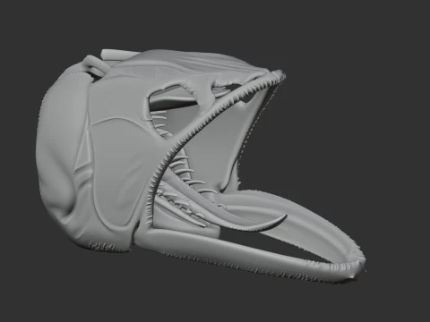 Asian Arowana Skull 3D Model