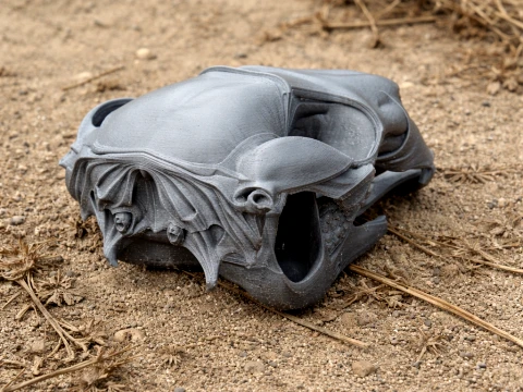 Black Wallaroo Skull 3D Model
