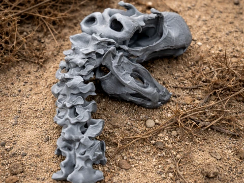 Czaszka Brontornis burmeisteri Model 3D