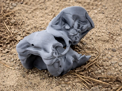 Bullockornis planei Skull 3D Model