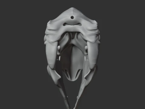 Bullockornis planei Skull 3D Model