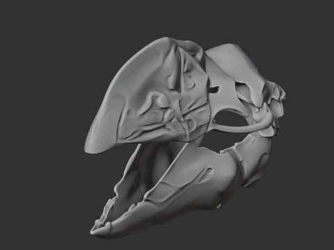 Bullockornis planei Skull 3D Model