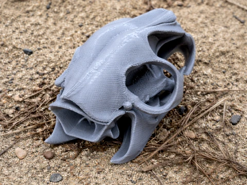 Cane Rat Skull 3D Model
