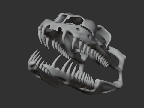 Carpet Python Skull 3D Model