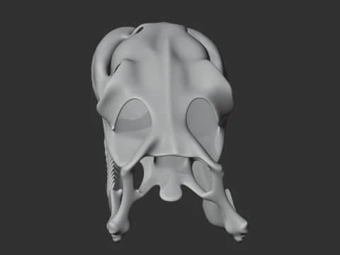 Childrens Python Skull 3D Model