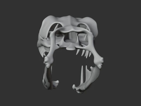 Childrens Python Skull 3D Model
