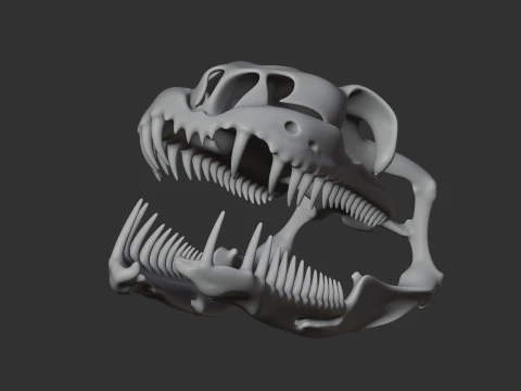 Childrens Python Skull 3D Model