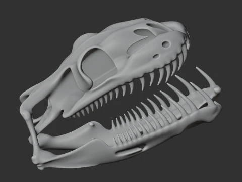 Childrens Python Skull 3D Model