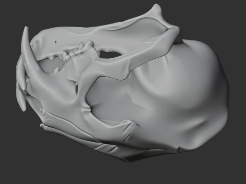 Clouded Leopard Skull 3D Model