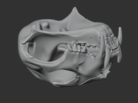 Clouded Leopard Skull 3D Model