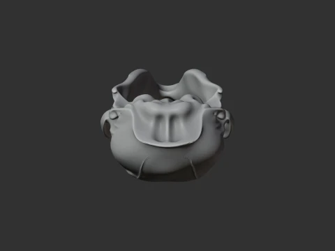 Coati Skull 3D Model