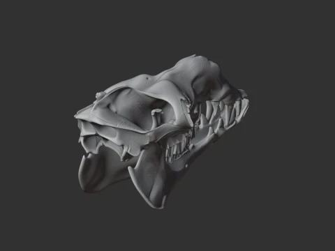 Camel Skull 3D Model