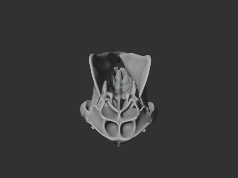 Camel Skull 3D Model