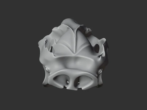 Common Brushtail Possum Skull 3D Model