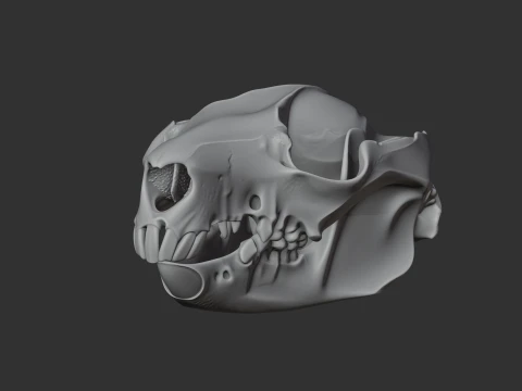 Common Brushtail Possum Skull 3D Model