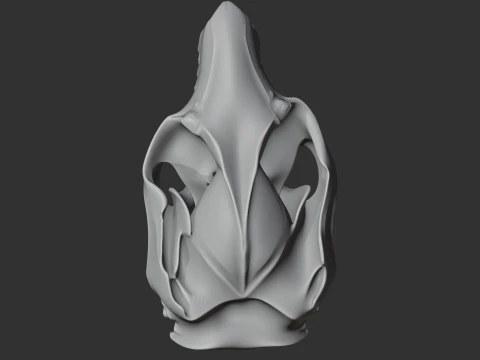 Common Brushtail Possum Skull 3D Model