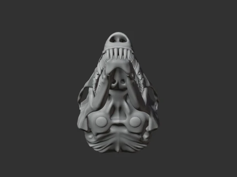 Common Mole Skull 3D Model