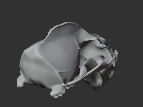 California Sea Lion Skull 3D Model