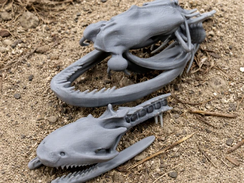 Cottonmouth Kafatası 3D Model