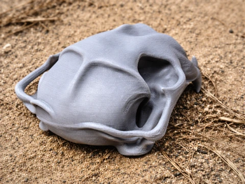 Cougar Skull 3D Model