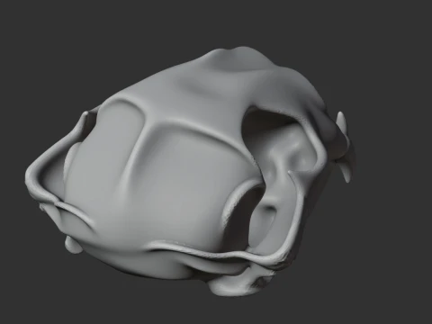 Cougar Skull 3D Model