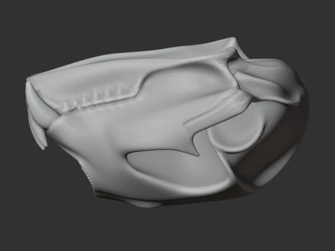 Cougar Skull 3D Model