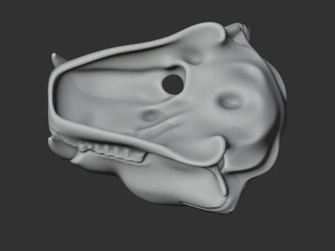 Cougar Skull 3D Model