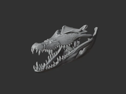 Crocodile Skull 3D Model