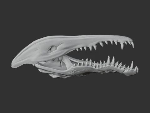 Crocodile Skull 3D Model