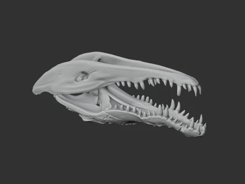 Crocodile Skull 3D Model