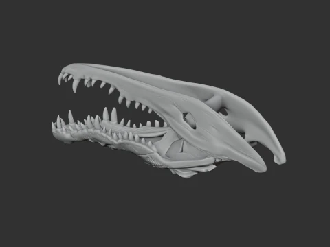 Crocodile Skull 3D Model