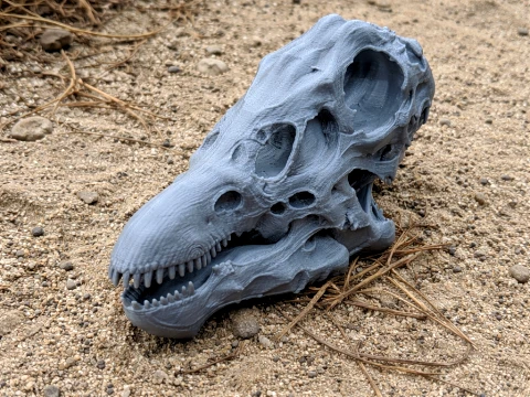 Dacentrurus Skull 3D Model