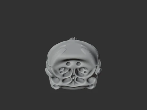 Dalls Porpoise Skull 3D Model
