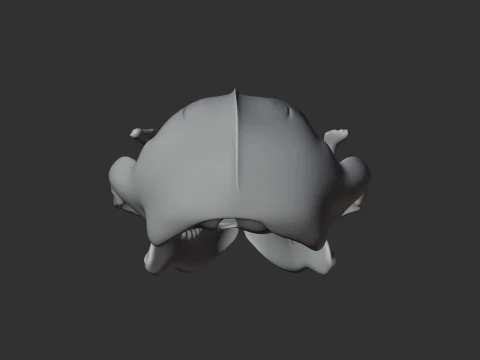 Desert Hedgehog Skull 3D Model