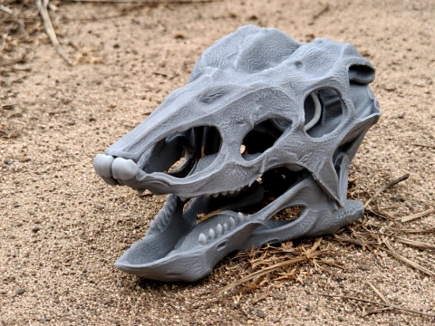 Cranio di Desmatosuchus Modello 3D