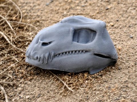 Diadectes Skull 3D Model